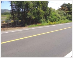  2016Ÿ��6035 ���� ���ֽ� ������ �۴縮 13-1      ����(����)���