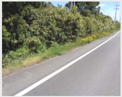  2016Ÿ��6035 ���� ���ֽ� ������ �۴縮 13-1      ����(����)���