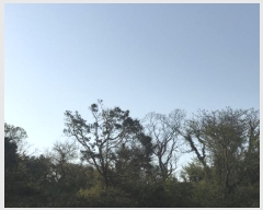  2016Ÿ2774  ֽ  ȭ 45      (Ӿ)