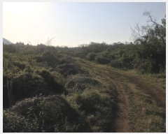  2016Ÿ2774  ֽ  ȭ 45      (Ӿ)