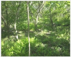  2016Ÿ2774  ֽ  ȭ 45      (Ӿ)