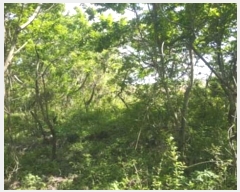  2016Ÿ2774  ֽ  ȭ 45      (Ӿ)