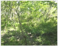  2016Ÿ2774  ֽ  ȭ 45      (Ӿ)