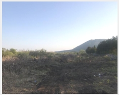  2016Ÿ��3104 ���� ���ֽ� ������ ��ȭ�� ��29      ����(�Ӿ�)���