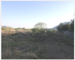  2016Ÿ��3104 ���� ���ֽ� ������ ��ȭ�� ��29      ����(�Ӿ�)���