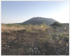  2016Ÿ��3104 ���� ���ֽ� ������ ��ȭ�� ��29      ����(�Ӿ�)���