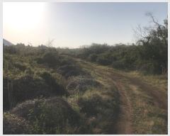  2016Ÿ��3104 ���� ���ֽ� ������ ��ȭ�� ��29      ����(�Ӿ�)���