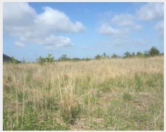  2016Ÿ��3104 ���� ���ֽ� ������ ��ȭ�� ��29      ����(�Ӿ�)���