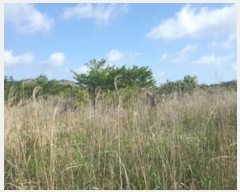  2016Ÿ��3104 ���� ���ֽ� ������ ��ȭ�� ��29      ����(�Ӿ�)���