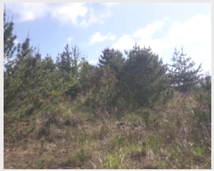  2016Ÿ��3104 ���� ���ֽ� ������ ��ȭ�� ��29      ����(�Ӿ�)���