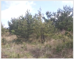  2016Ÿ��3104 ���� ���ֽ� ������ ��ȭ�� ��29      ����(�Ӿ�)���