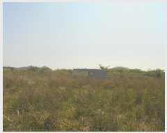  2016Ÿ��3203 ���� ���ֽ� ������ ��ȭ�� ��40      ����(�Ӿ�)���