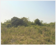  2016Ÿ��3203 ���� ���ֽ� ������ ��ȭ�� ��40      ����(�Ӿ�)���