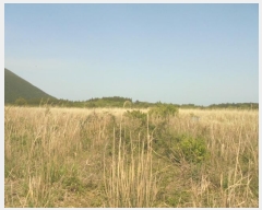  2016Ÿ��3203 ���� ���ֽ� ������ ��ȭ�� ��40      ����(�Ӿ�)���