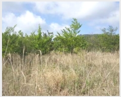  2016Ÿ��3203 ���� ���ֽ� ������ ��ȭ�� ��40      ����(�Ӿ�)���