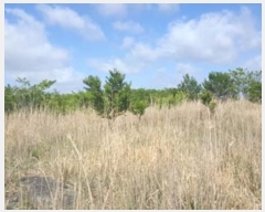  2016Ÿ��3203 ���� ���ֽ� ������ ��ȭ�� ��40      ����(�Ӿ�)���