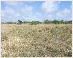  2016Ÿ��3203 ���� ���ֽ� ������ ��ȭ�� ��40      ����(�Ӿ�)���