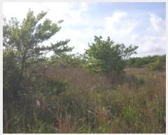  2016Ÿ��3203 ���� ���ֽ� ������ ��ȭ�� ��40      ����(�Ӿ�)���