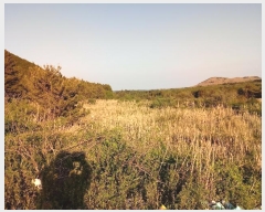  2016Ÿ��3081 ���� ���ֽ� ������ ��ȭ�� 3593-1      ����(������)���