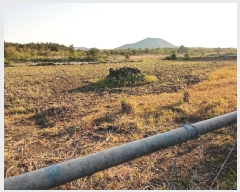  2016Ÿ��3081 ���� ���ֽ� ������ ��ȭ�� 3593-1      ����(������)���