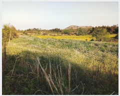  2016Ÿ��3081 ���� ���ֽ� ������ ��ȭ�� 3593-1      ����(������)���