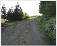  2016Ÿ��3081 ���� ���ֽ� ������ ��ȭ�� 3593-1      ����(������)���