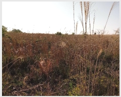  2016Ÿ��3081 ���� ���ֽ� ������ ��ȭ�� 3593-1      ����(������)���