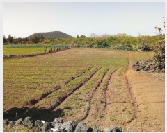  2016Ÿ��3081 ���� ���ֽ� ������ ��ȭ�� 3593-1      ����(������)���