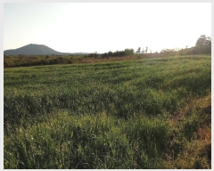  2016Ÿ��3081 ���� ���ֽ� ������ ��ȭ�� 3593-1      ����(������)���