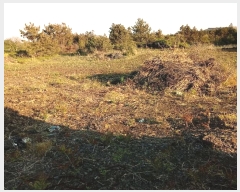  2016Ÿ��3081 ���� ���ֽ� ������ ��ȭ�� 3593-1      ����(������)���