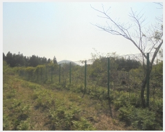  2016Ÿ��3098 ���� ���ֽ� ������ ��ȭ�� ��28      ����(�Ӿ�)���