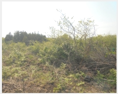  2016Ÿ��3098 ���� ���ֽ� ������ ��ȭ�� ��28      ����(�Ӿ�)���