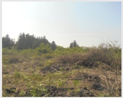  2016Ÿ��3098 ���� ���ֽ� ������ ��ȭ�� ��28      ����(�Ӿ�)���