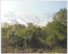  2016Ÿ��3098 ���� ���ֽ� ������ ��ȭ�� ��28      ����(�Ӿ�)���