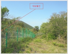  2016Ÿ��3098 ���� ���ֽ� ������ ��ȭ�� ��28      ����(�Ӿ�)���