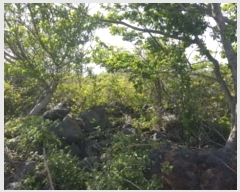  2016Ÿ��3098 ���� ���ֽ� ������ ��ȭ�� ��28      ����(�Ӿ�)���