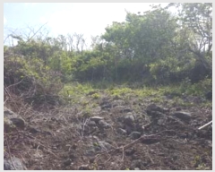  2016Ÿ��3098 ���� ���ֽ� ������ ��ȭ�� ��28      ����(�Ӿ�)���