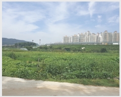  2017Ÿ��18674 ��� ȭ���� ������ ������ 35      ����(��)���