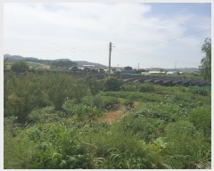  2017Ÿ��18674 ��� ȭ���� ������ ������ 35      ����(��)���