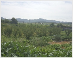  2017Ÿ��18674 ��� ȭ���� ������ ������ 35      ����(��)���