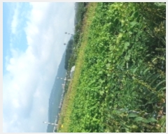  2017Ÿ��18674 ��� ȭ���� ������ ������ 35      ����(��)���