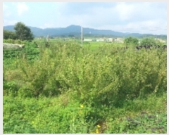  2017Ÿ��18674 ��� ȭ���� ������ ������ 35      ����(��)���