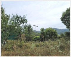  2017Ÿ��27579 ��� ���ν� ó�α� ������ ���ϸ� 144-2     ������