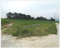  2017Ÿ��6790 ��� ��õ�� ������ ���׸� 637-1      ����(��1)���