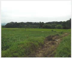  2017Ÿ��6790 ��� ��õ�� ������ ���׸� 637-1      ����(��1)���