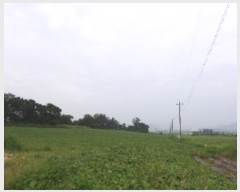  2017Ÿ��6790 ��� ��õ�� ������ ���׸� 637-1      ����(��1)���