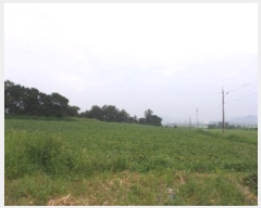  2017Ÿ��6790 ��� ��õ�� ������ ���׸� 637-1      ����(��1)���