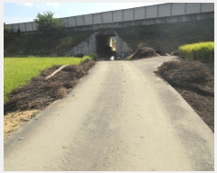  2017Ÿ��5088 ��� ���ֽ� �Ŵϸ� ����� 72-6      ����(��)���