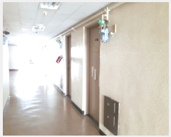  2017Ÿ��5273 ���� �߱� ������550���� 5, 12��1213ȣ (��ȭ��,�������ǽ���)     ���ǽ��ڰ��