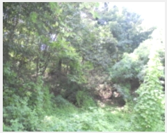  2017Ÿ104361   ൿ 40-5       (Ӿ)